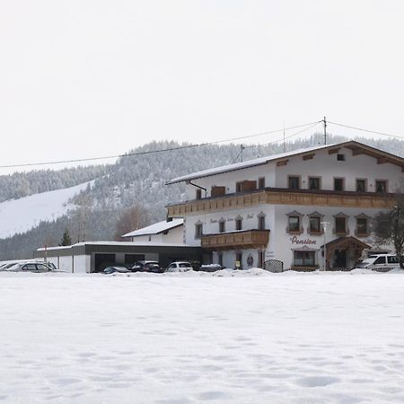 Pension Und Apartments Landhaus Marie Лойташ Екстер'єр фото